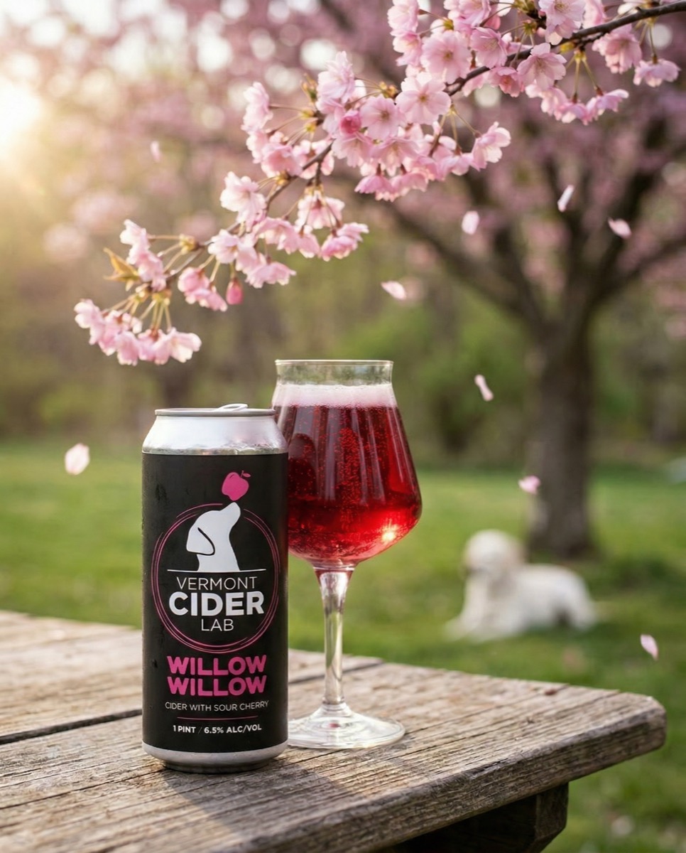 Vermont Cider Lab cider in outdoor lifestyle setting