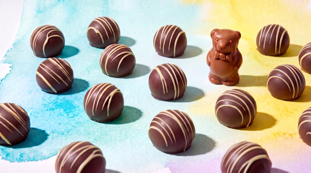 Birnn Chocolates bear with Everyday flavor truffles